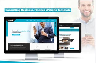 Consulting Business