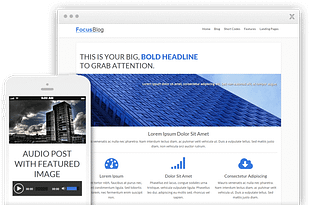 Thrive Themes Focusblog WordPress Theme