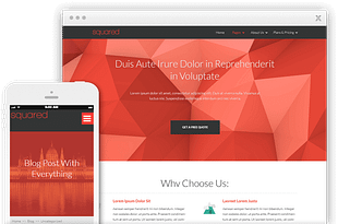 Thrive Themes Squared WordPress Theme