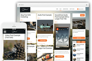 Thrive Themes Storied WordPress Theme
