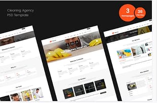 Cleaning PSD Template
