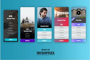 Business Pricing Table For