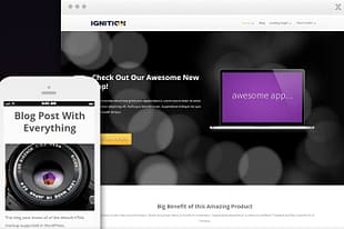 Thrive Themes Ignition WordPress