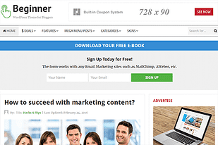 Theme Junkie Beginner WordPress Theme