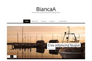 Theme Junkie BiancaA WordPress Theme
