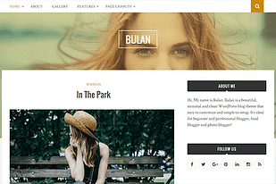 Theme Junkie Bulan WordPress Theme