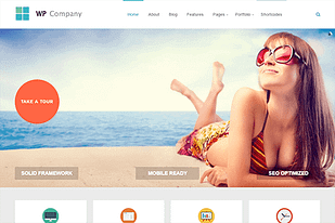 Theme Junkie Company WordPress Theme