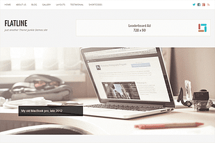 Theme Junkie FlatLine WordPress Theme