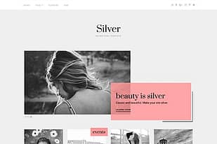 Theme Junkie Silver WordPress Theme