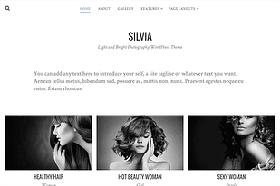 Theme Junkie Silvia WordPress Theme
