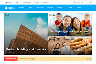 Theme Junkie SiteBox WordPress Theme