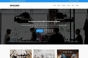 Theme Junkie Smallbiz WordPress Theme