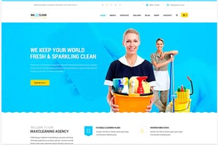 Max Cleaners & Movers - PSD Template