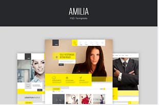 Amilia - PSD Template