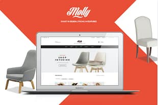 Molly ECommerce PSD Template