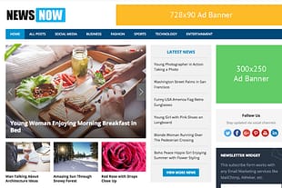 HappyThemes NewsNow Pro
