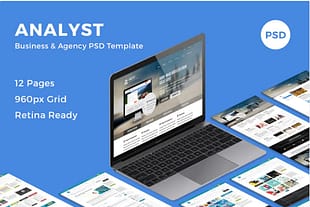 Analyst - Business & Agency PSD Template