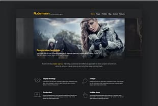 Rudermann - Agency PSD Template