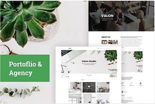 Portfoilio & Agency PSD Template