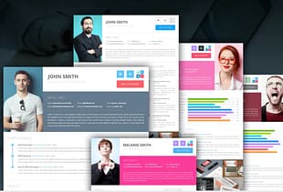 Clean Onepage Resume PSD Template