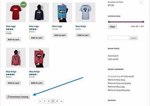 WooCommerce Store Catalog PDF Download