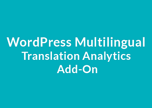 WordPress Multilingual Translation Analytics Add-On