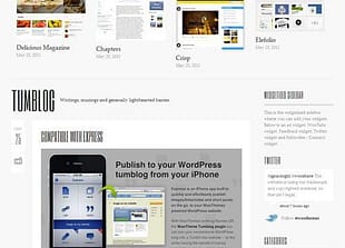 WooThemes Briefed Premium Theme