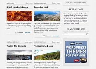 WooThemes Editorial Premium Theme