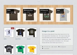 WooThemes Emporium Premium Theme