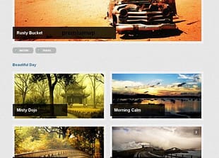 WooThemes Exposure Premium Theme
