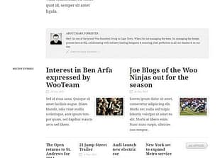WooThemes Flipflop Premium Theme