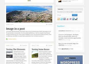 WooThemes Fresh News Premium Theme