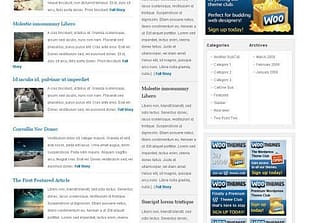 WooThemes Gotham News Premium Theme