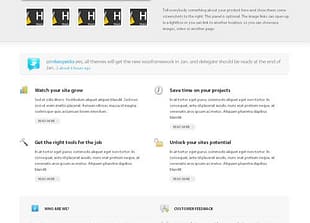 WooThemes Optimize Premium Theme