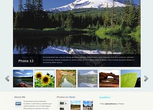 WooThemes Statua Premium Theme