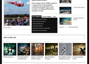 WooThemes The Journal Premium Theme