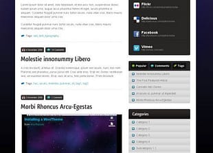 WooThemes Therapy Premium Theme