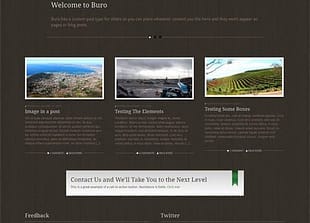 WooThemes Buro Premium Theme