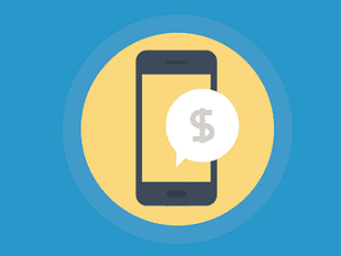 Paid Memberships Pro - Donations