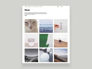 Elmastudio Ubud WordPress Theme