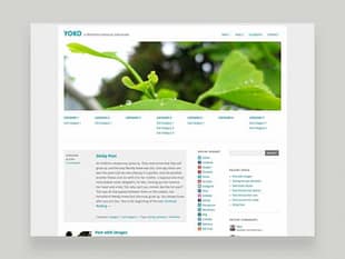Elmastudio Yoko WordPress Theme