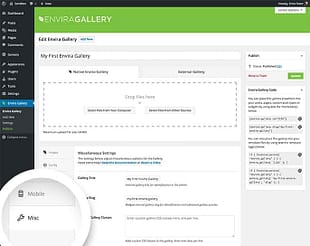Envira Gallery CSS Addon