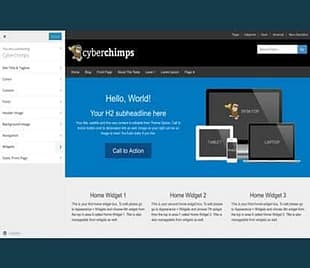 CyberChimps CyberChimps Pro Features WordPress Plugin