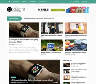 FameThemes Codilight WordPress Theme