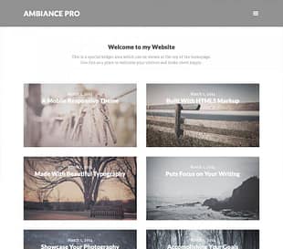 StudioPress Ambiance Pro Genesis WordPress Theme
