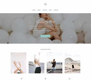 StudioPress Gallery Pro Genesis WordPress Theme
