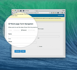 Gravity Perks Multi-page Form Navigation Plugin