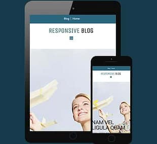 CyberChimps Responsive Blog WordPress Theme