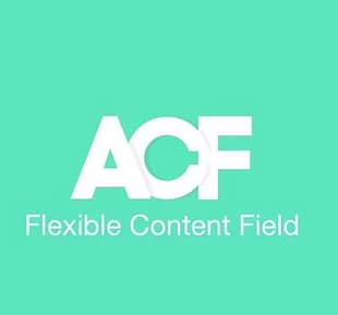 Advanced Custom Fields Flexible