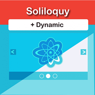 Soliloquy Dynamic Addon